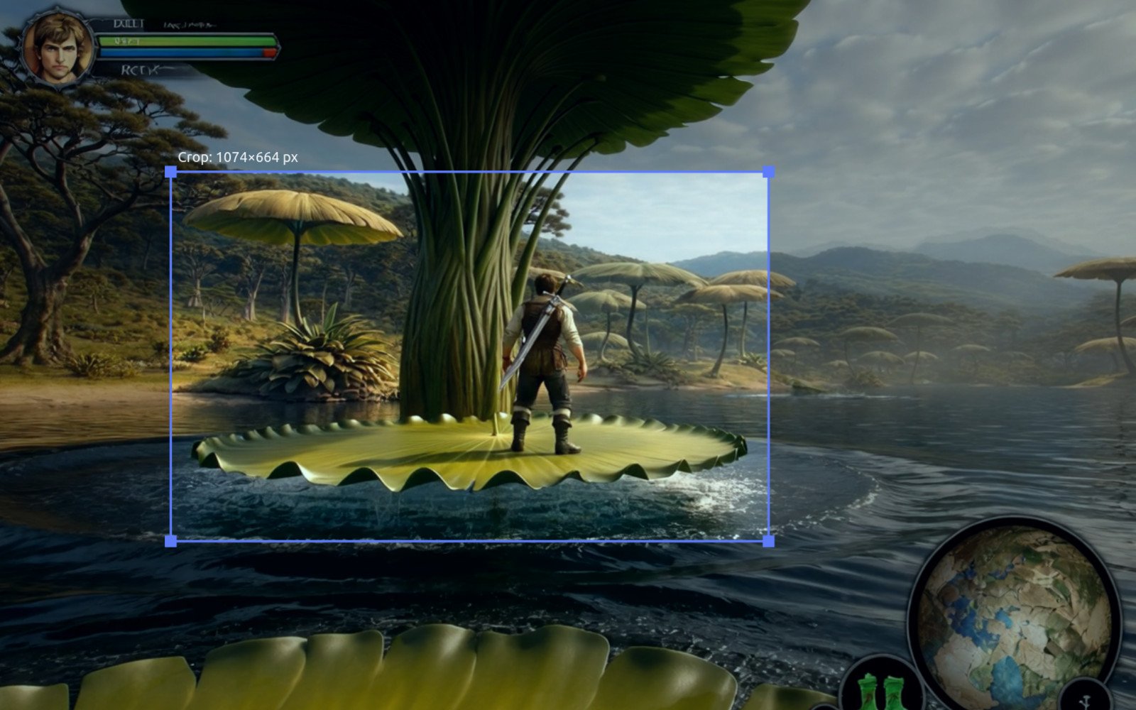 Image Crop Screenshot